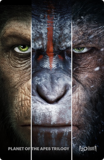 monkey